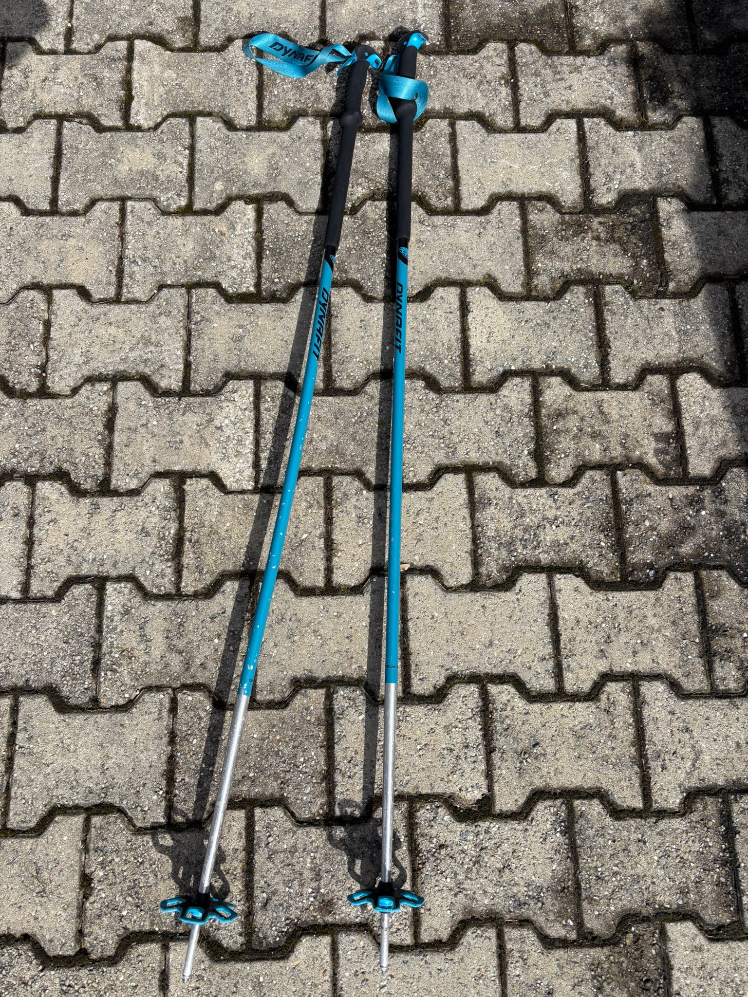 2 bâtons bleus  DYNAFIT